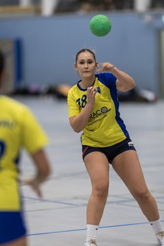 Bild 218 - F HSG Pinnau2 - Rellinger TV2 : Ergebnis: 27:20